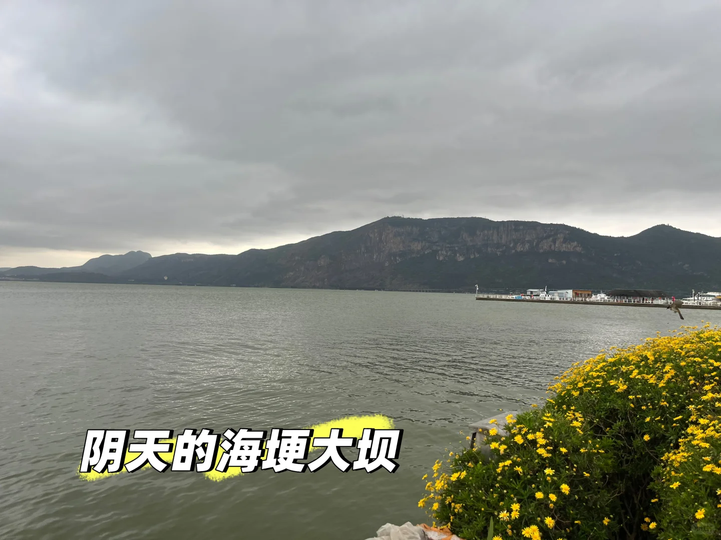 我的云南七日游攻略来啦✈️🌸