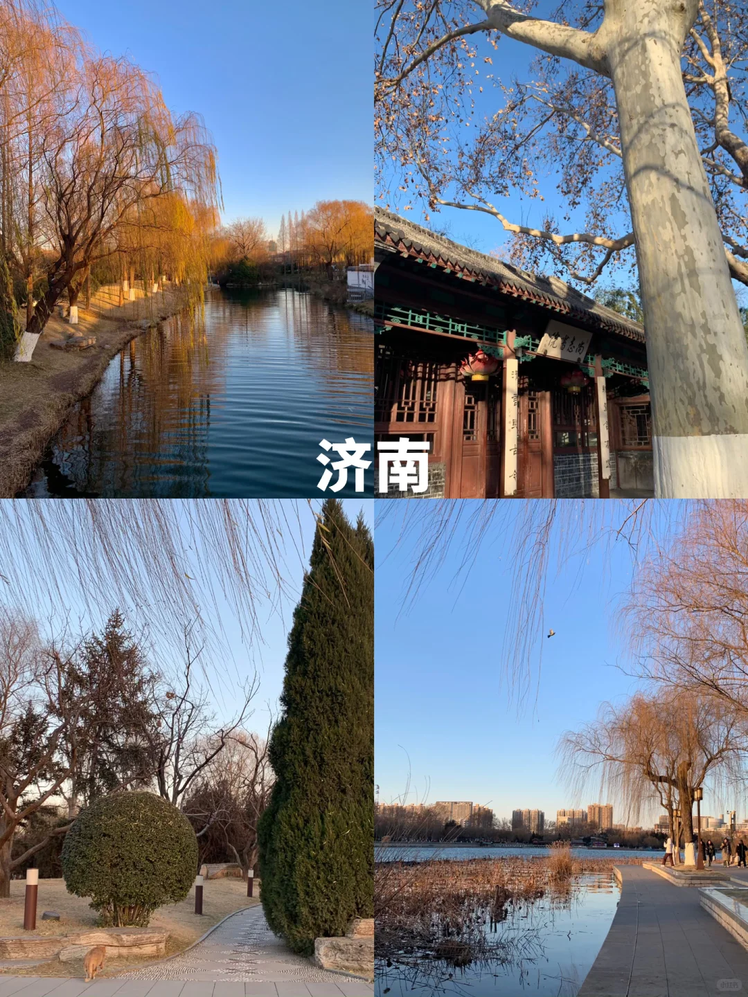大学生|2K十天勇闯山东追雪❄️