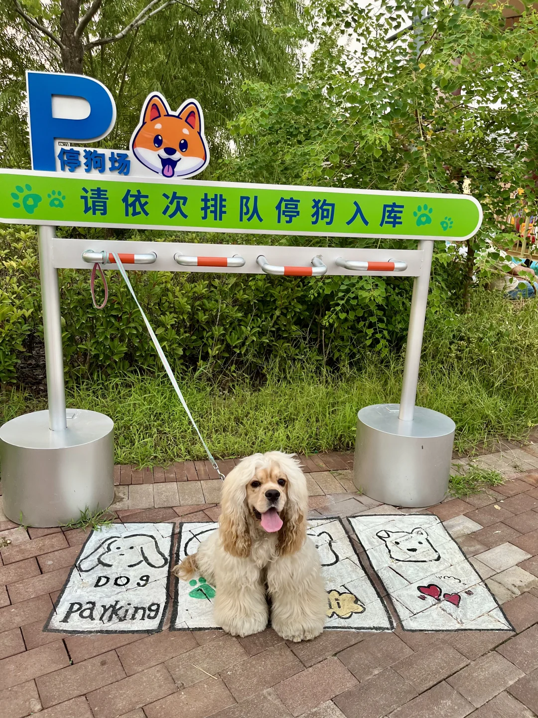 邯郸自驾👉济南|两天一晚遛娃遛狗vlog