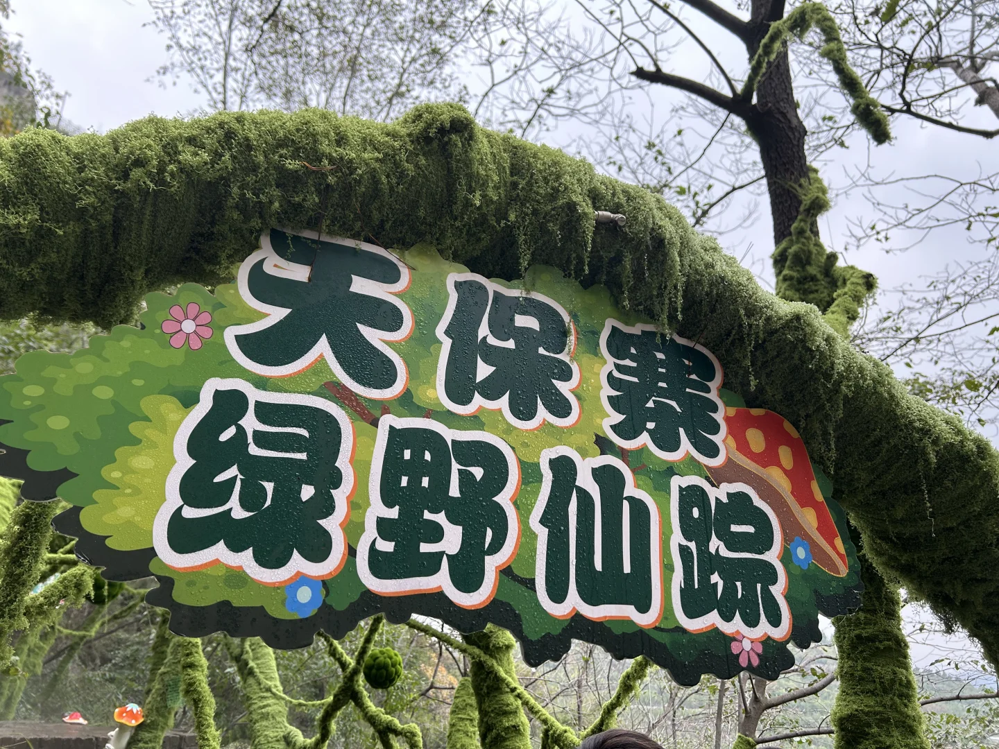 邯郸市磁县天保寨