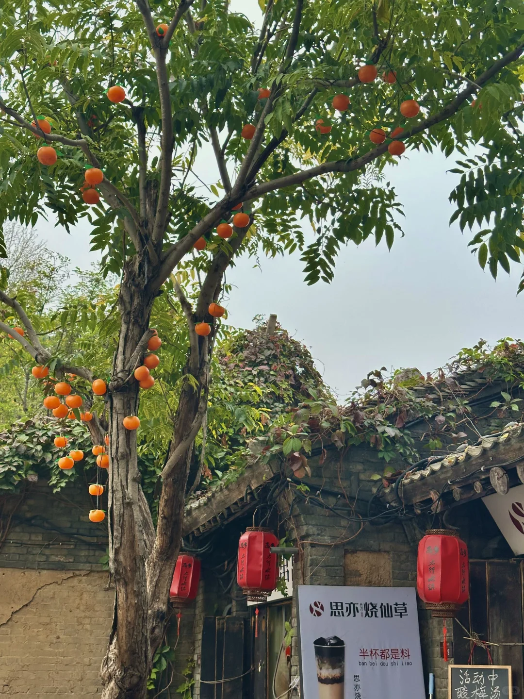 石家庄🚗2.5h被这个山脚下🆓的古镇美到啦