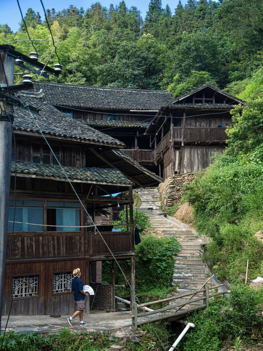 《国家地理》没骗我!!在湖南花的最值的20块钱