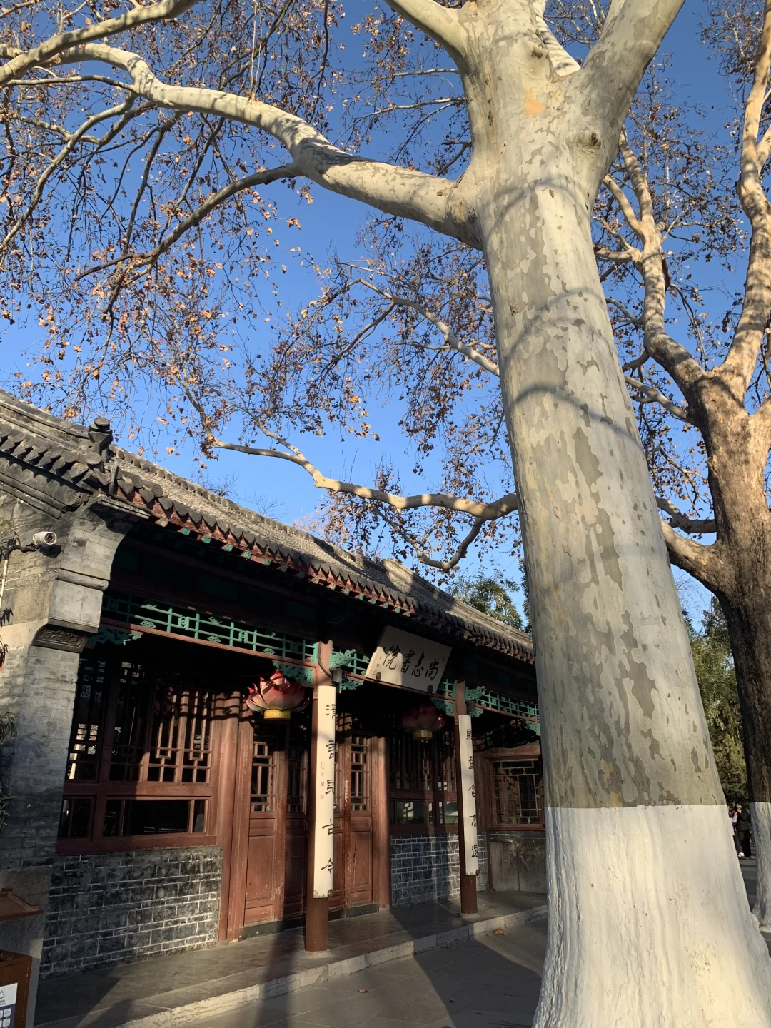 大学生|2K十天勇闯山东追雪❄️