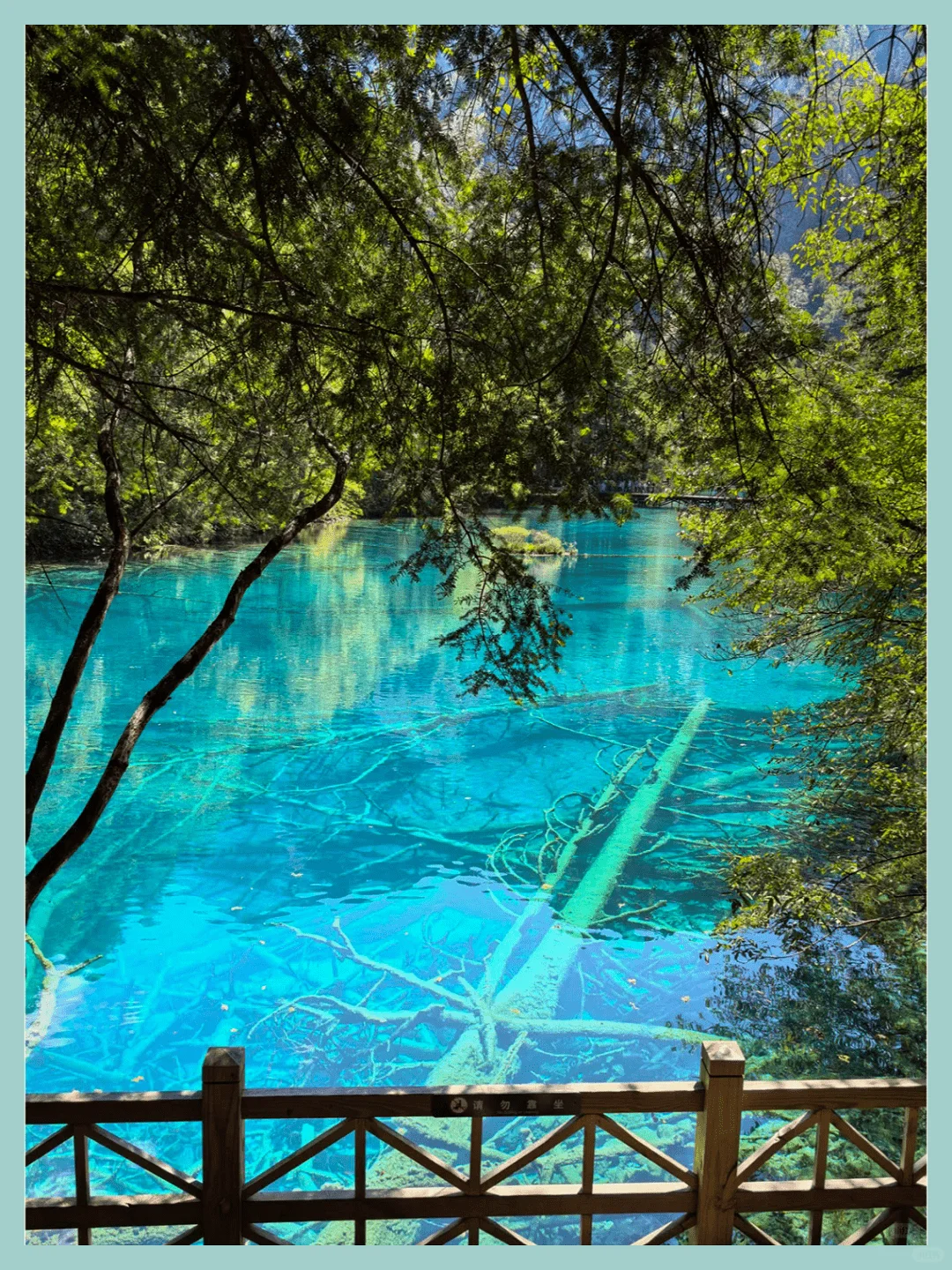 四川必游！首次旅行必打卡景点推荐