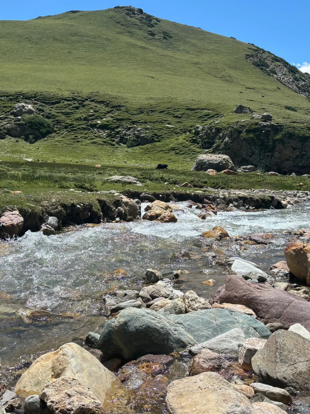 对于内蒙古 新疆 云南 西藏 的区别