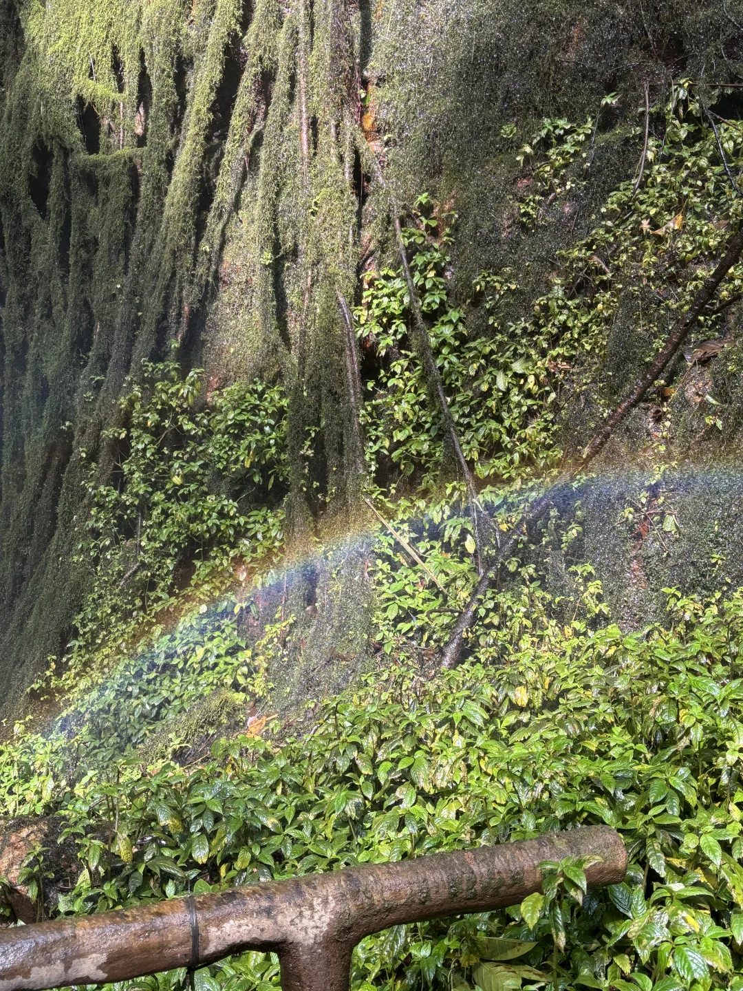 对于内蒙古 新疆 云南 西藏 的区别