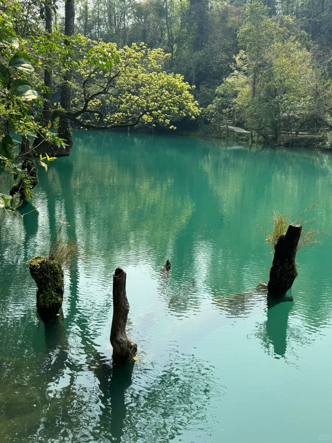 荔波小七孔-人间绿宝石