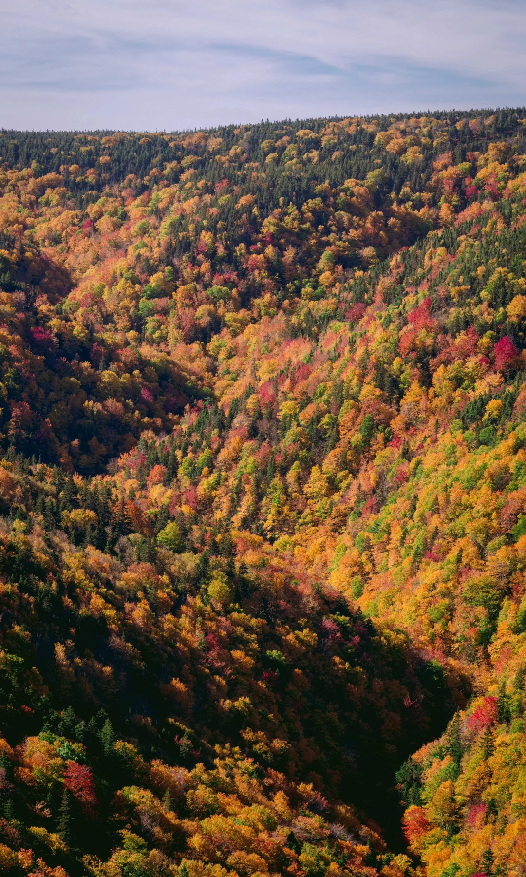 加国枫叶季必打卡景点之Cape Breton