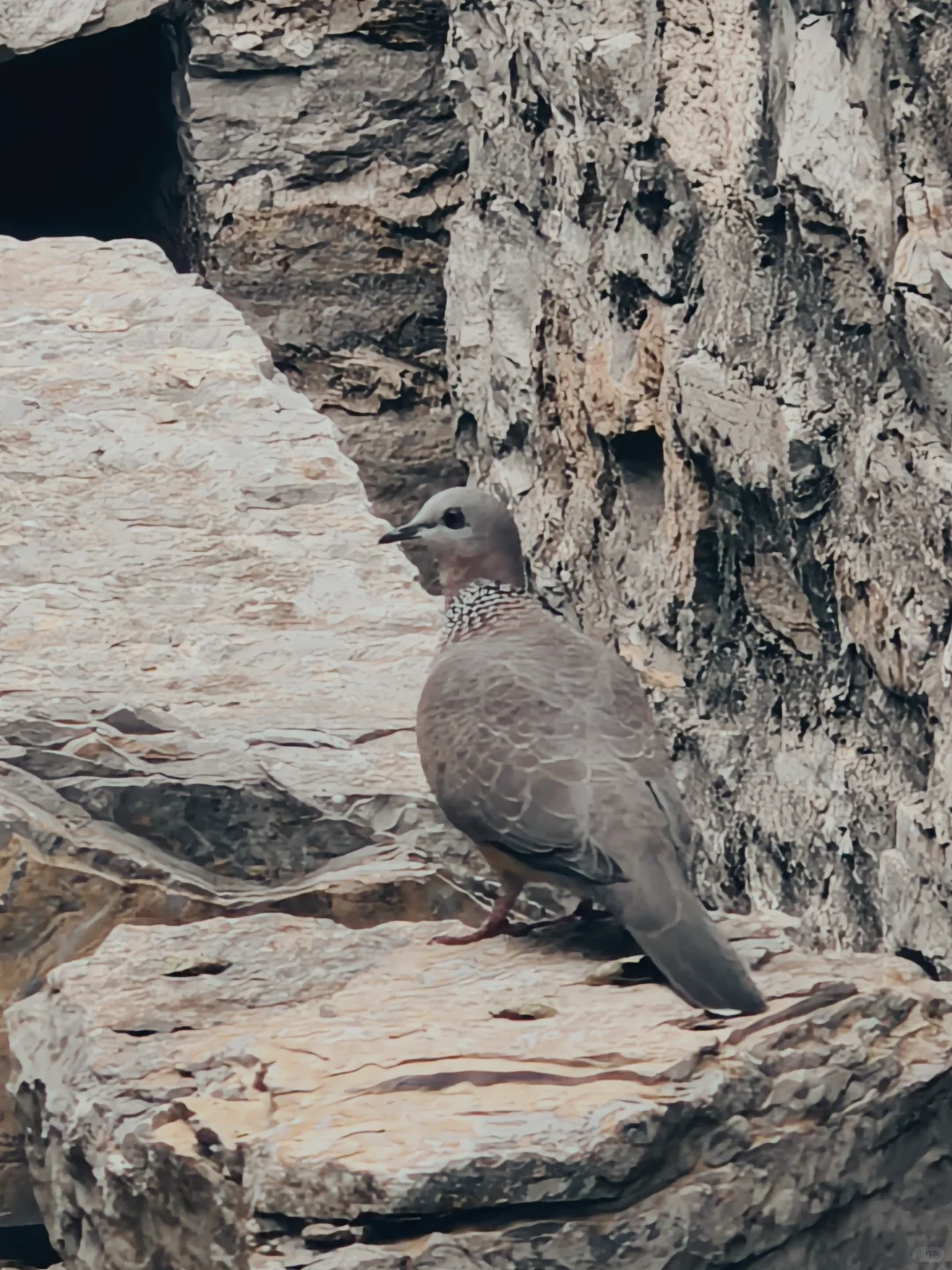 邯郸反向出行小众去处💡