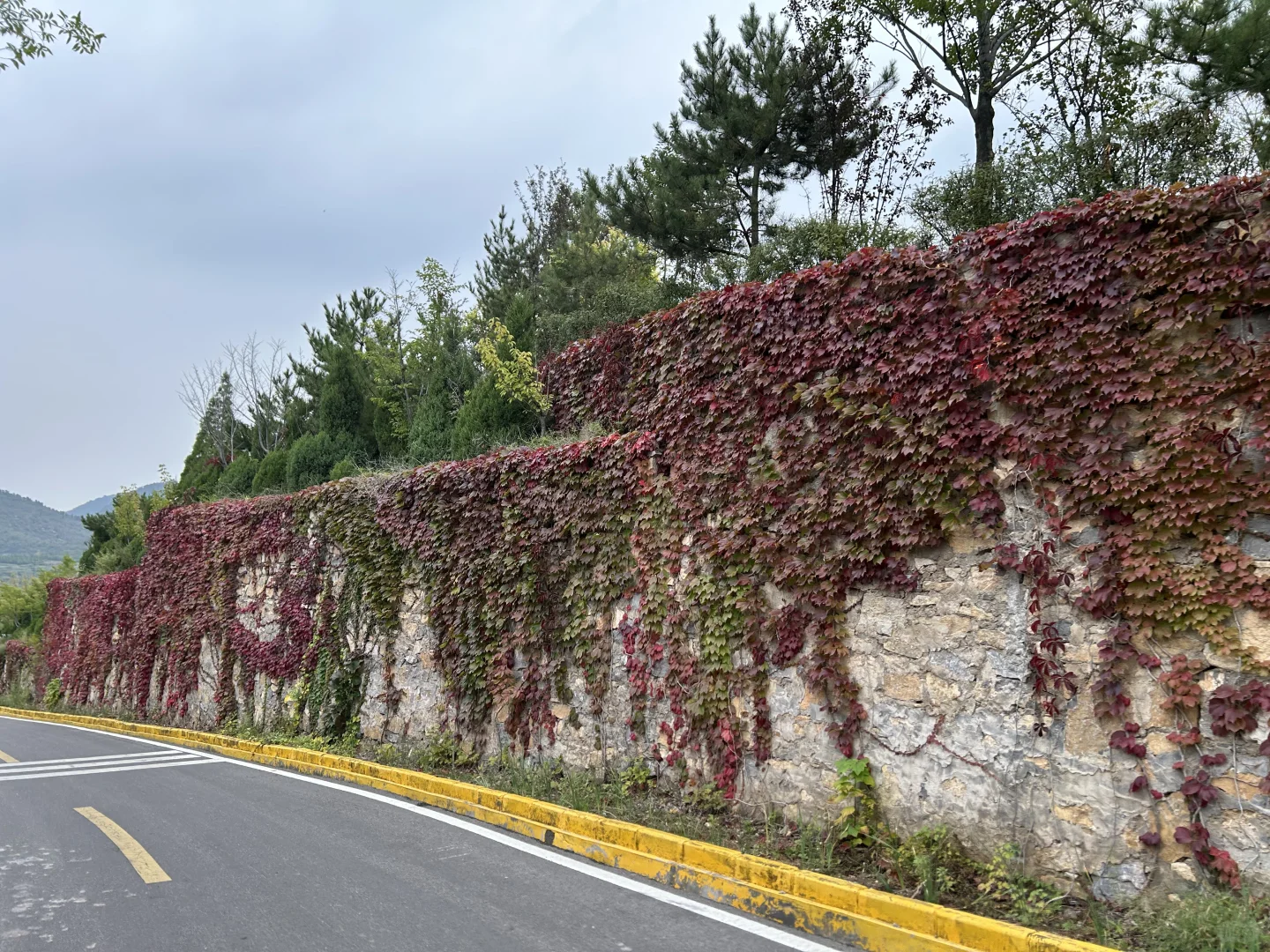 邯郸市磁县天保寨