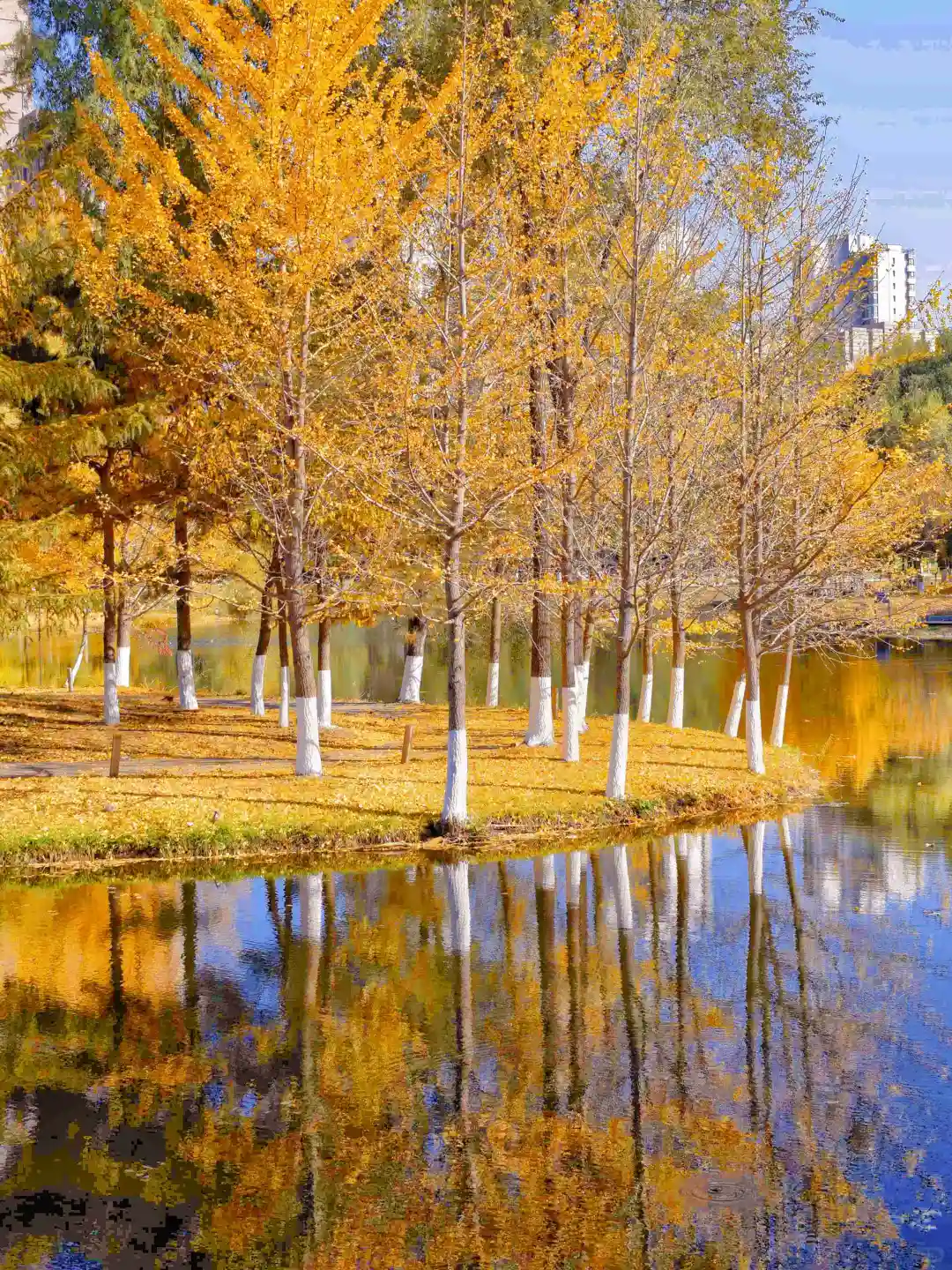 迄今为止，我最喜欢的秋季旅游城市出现了…