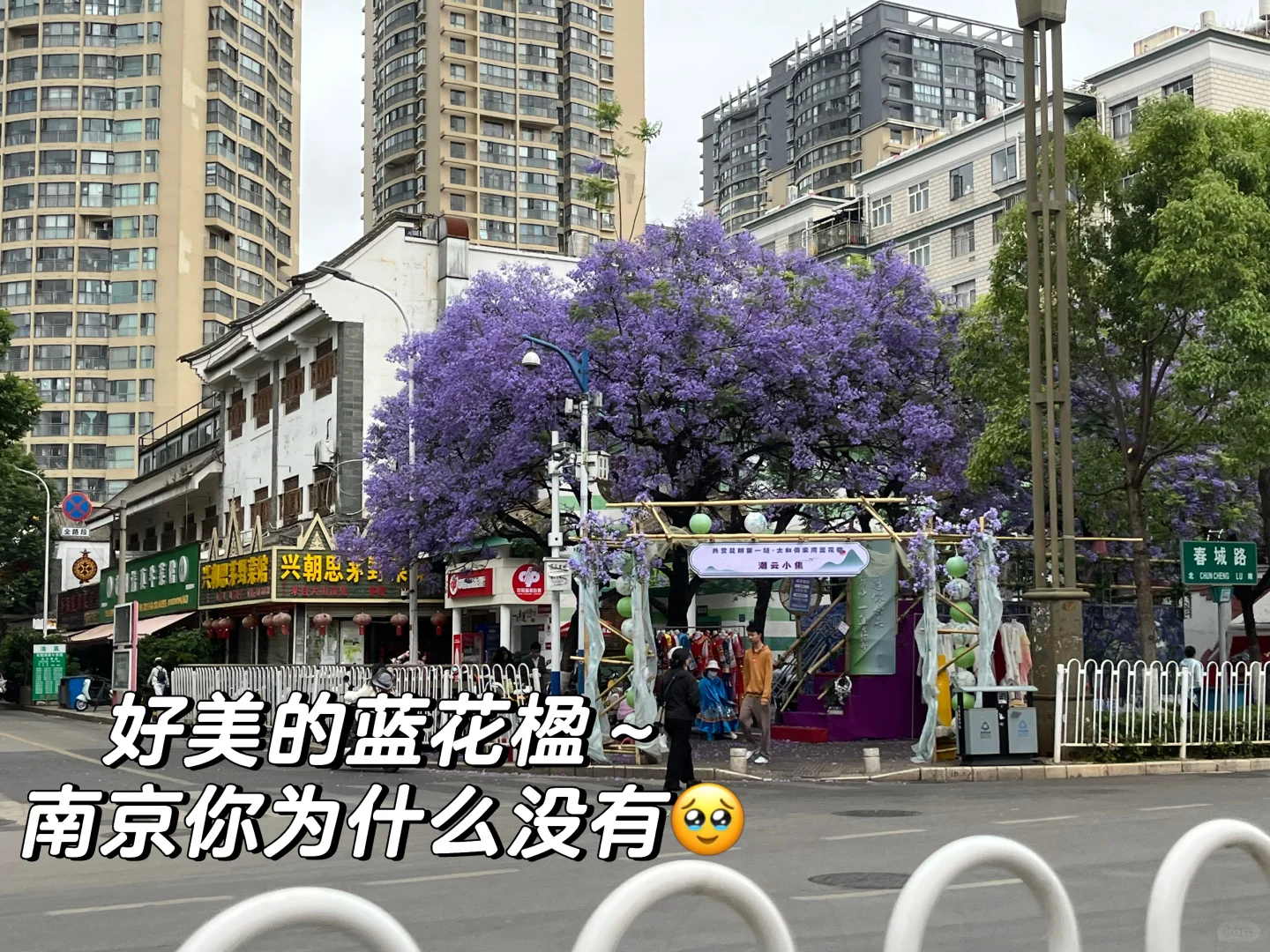 我的云南七日游攻略来啦✈️🌸