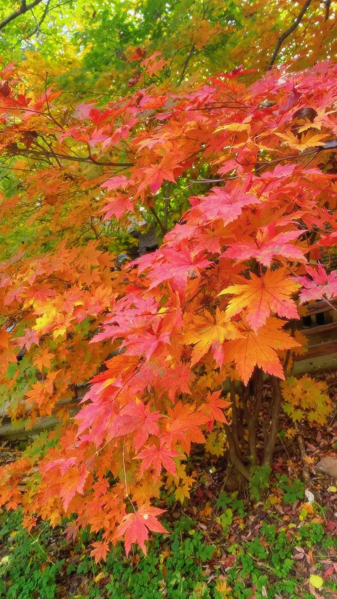 本溪旅游攻略｜本桓公路推荐路线