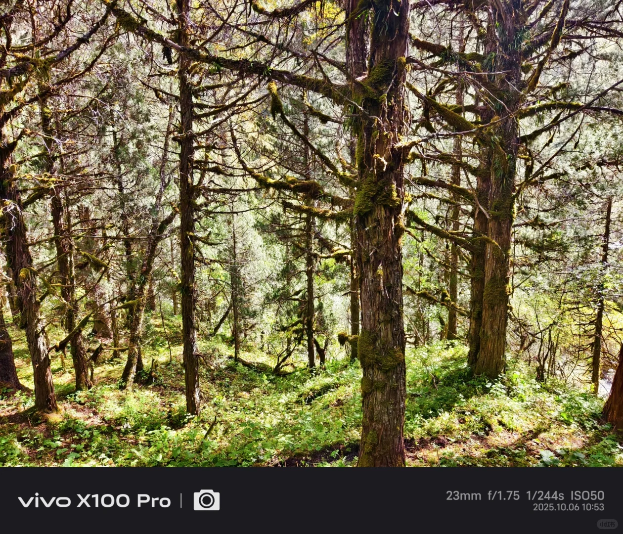 一个星期了怎么还在回味