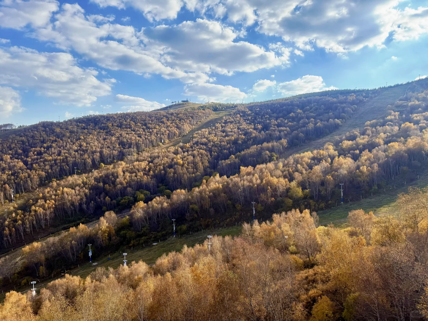 25.10.2崇礼秋景实时播报🍂真的可以冲了