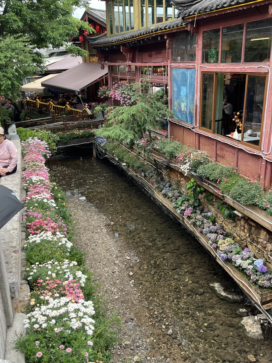 我的云南七日游攻略来啦✈️🌸
