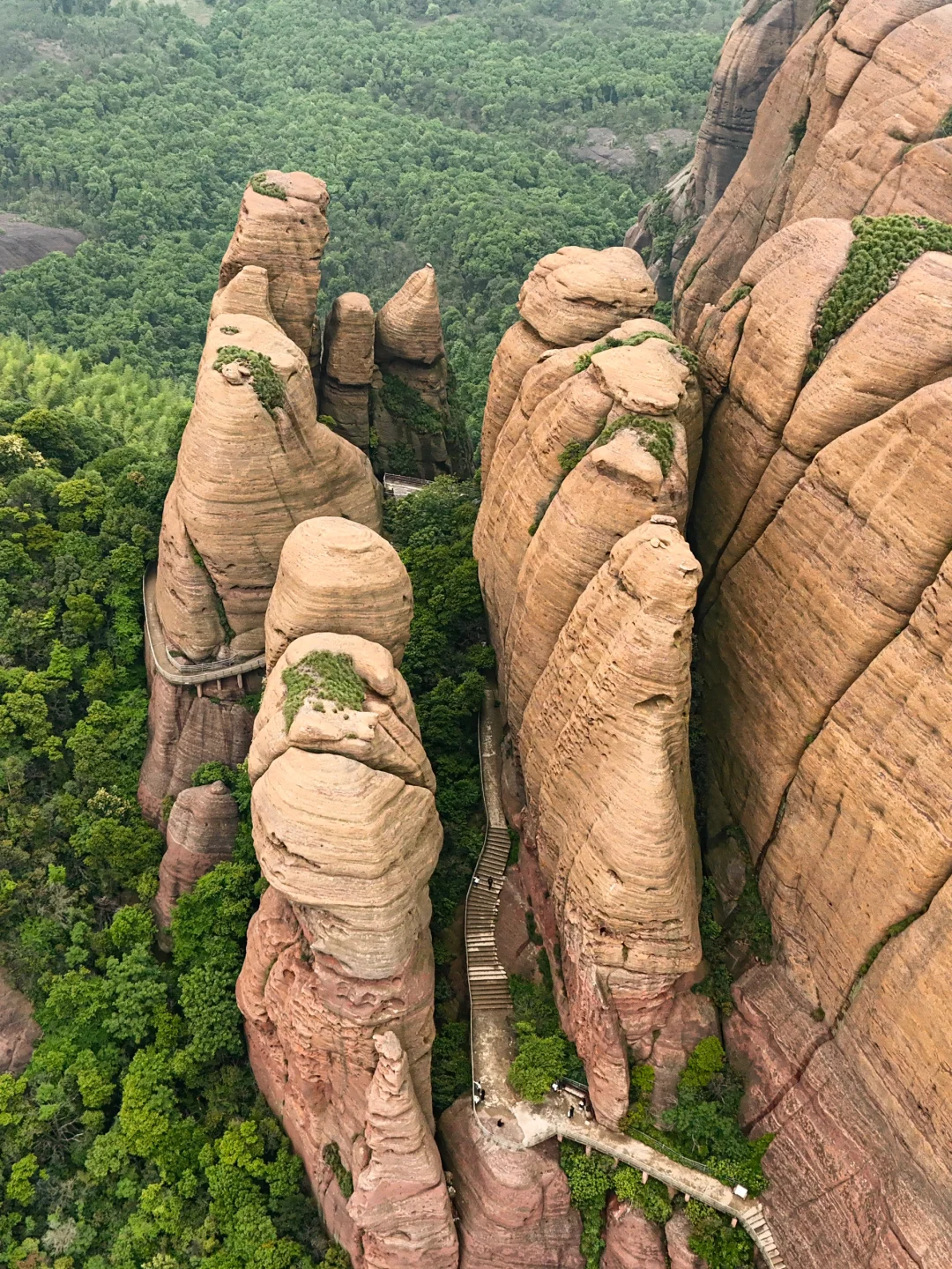 （live）以为武功山够美了，直到我去了这里……