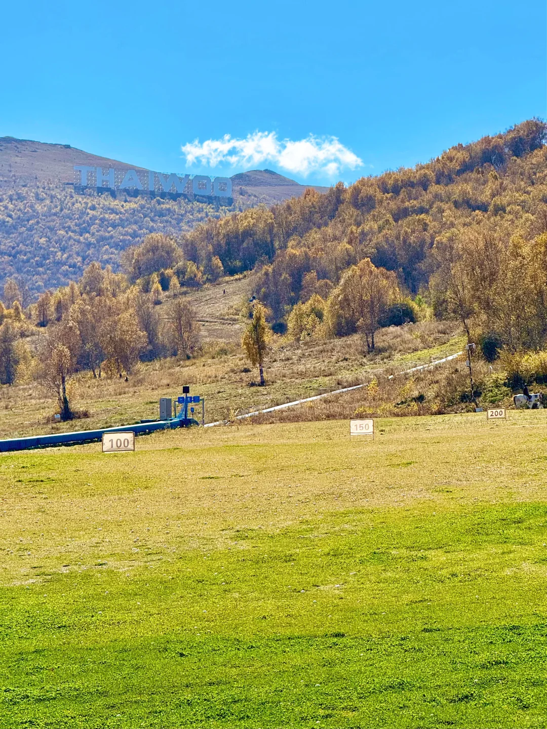 25.10.2崇礼秋景实时播报🍂真的可以冲了