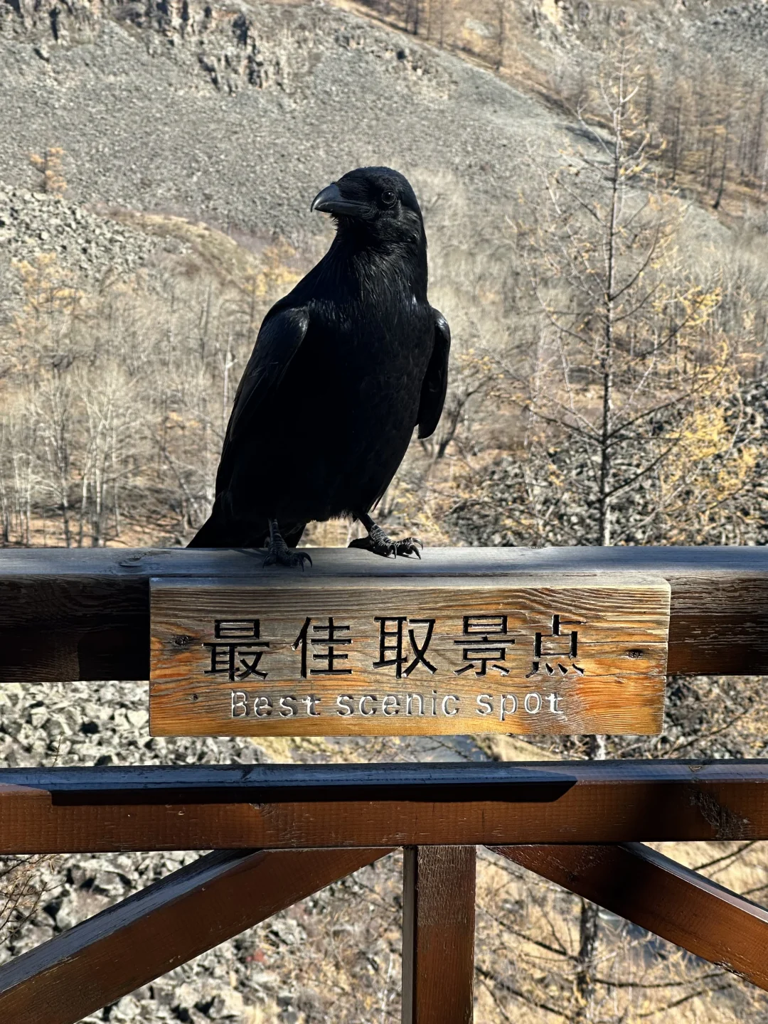 📍阿尔山攻略(长春出发版)