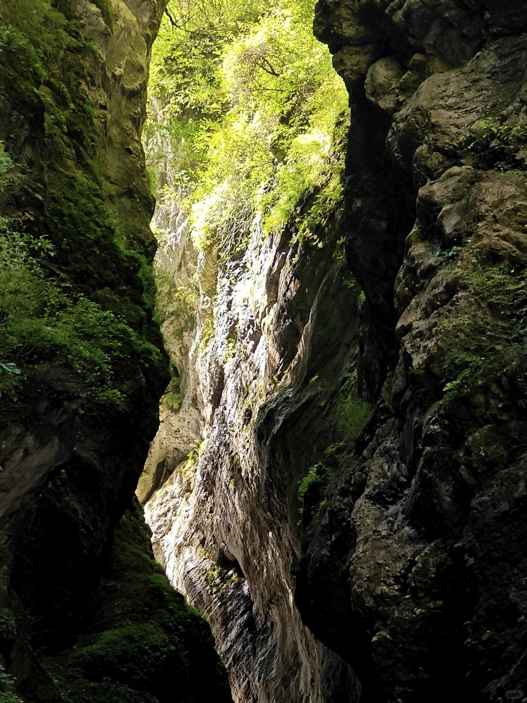 不去官鹅沟,不知西北山水奇!三天畅玩攻略