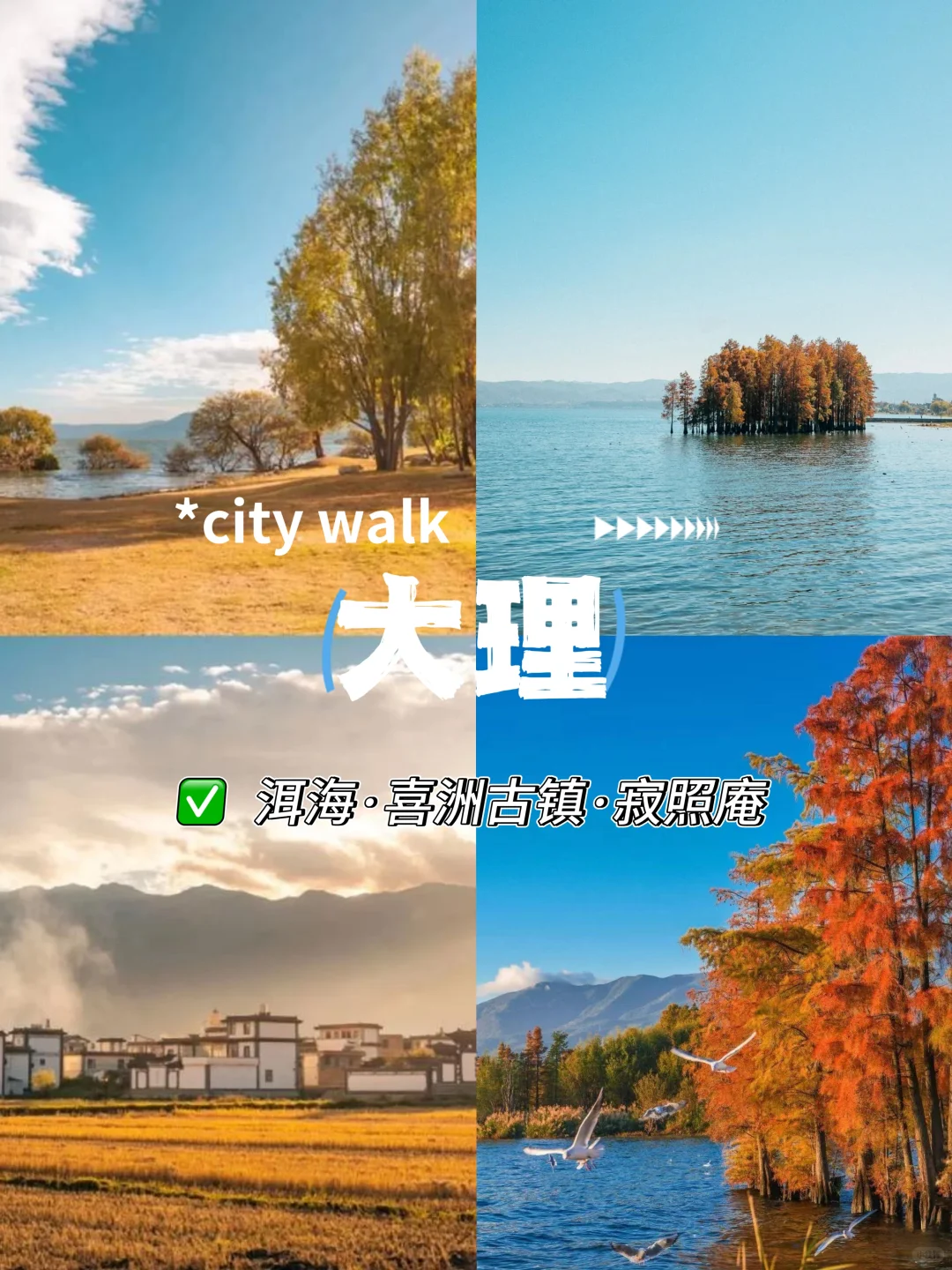 月薪三千也能冲‼️这5个地方的秋天美疯了