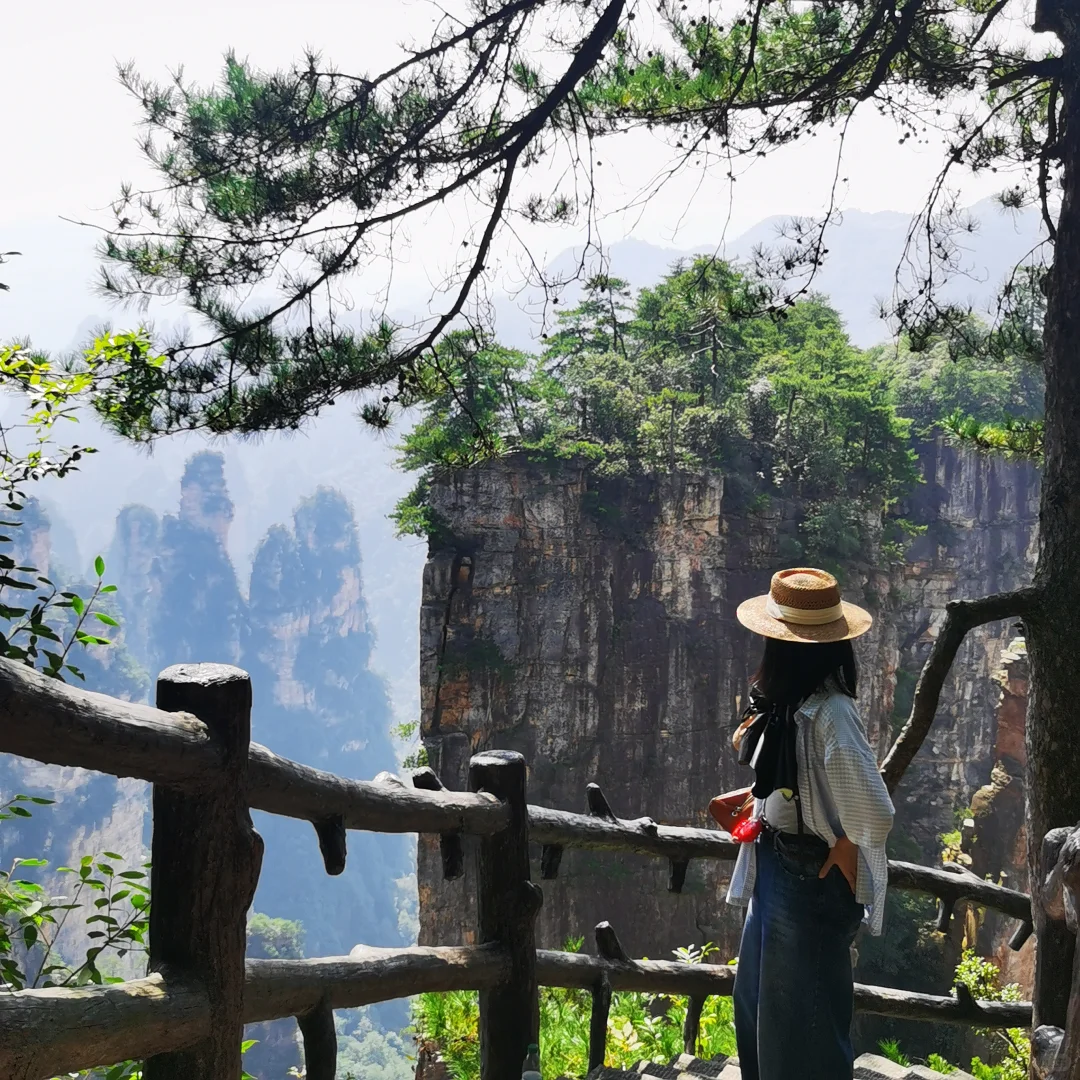 张家界旅游攻略 三天三夜 三索一梯不限次