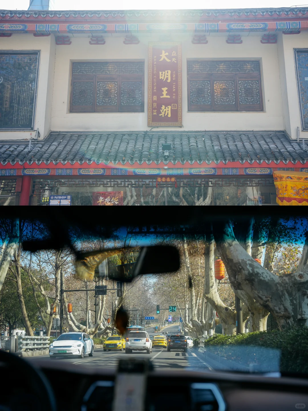 南京刚回来！南京博物院❤️梧桐大道❤️中山陵