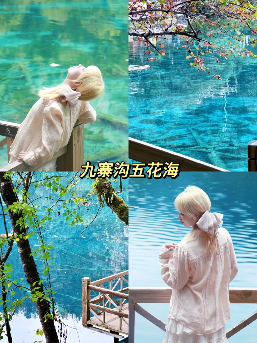 黄龙-九寨沟两日游|人均💰1k可复制版❗️