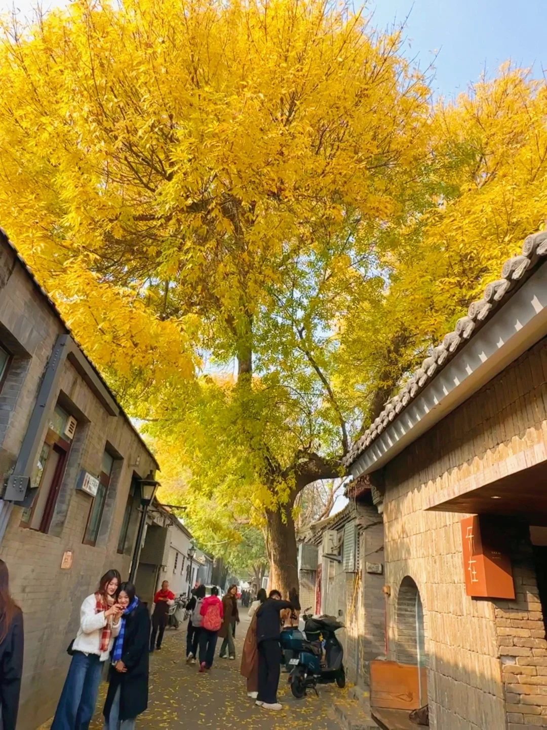 国庆❗️北京胡同citywalk➕赏秋路线合集地图