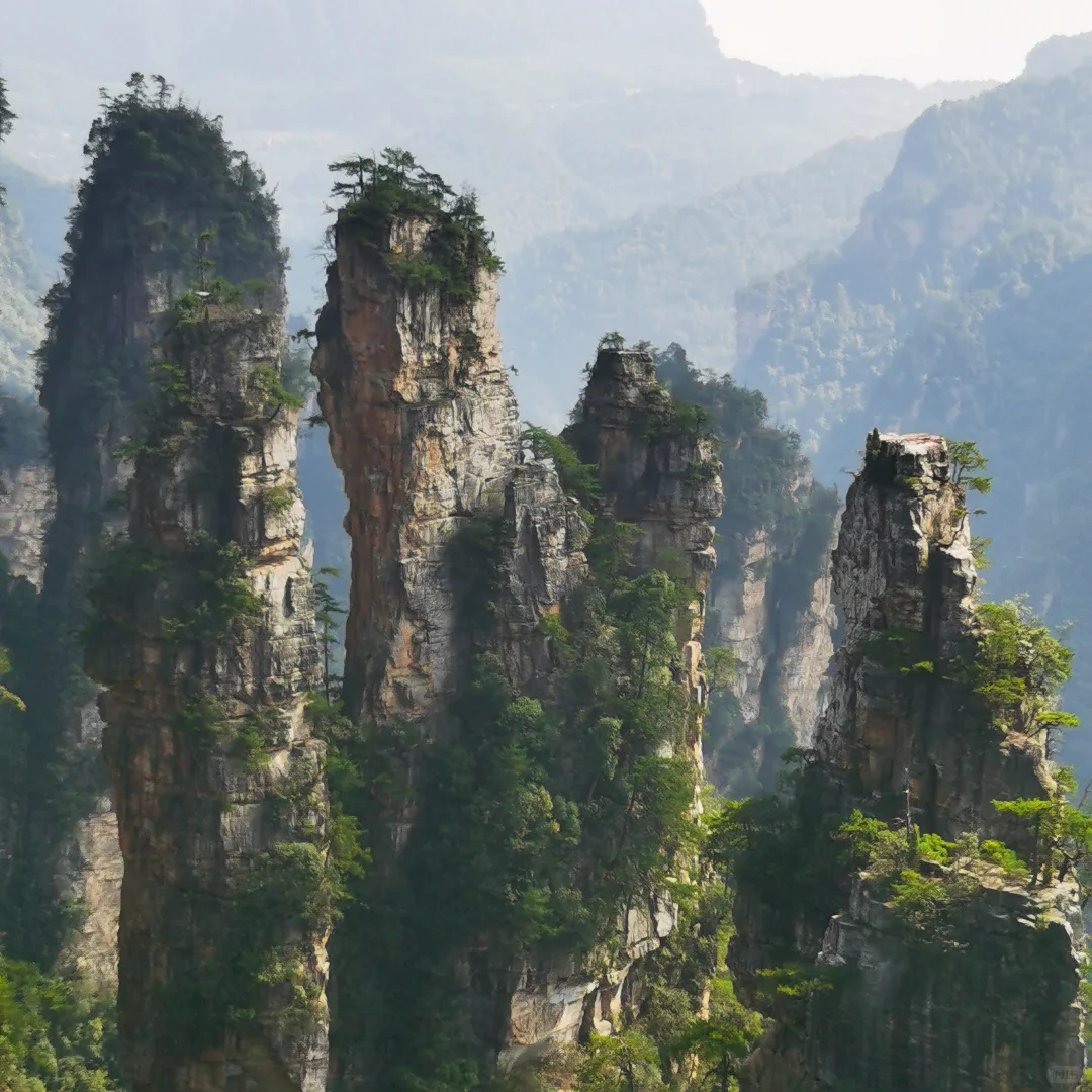 张家界旅游攻略 三天三夜 三索一梯不限次