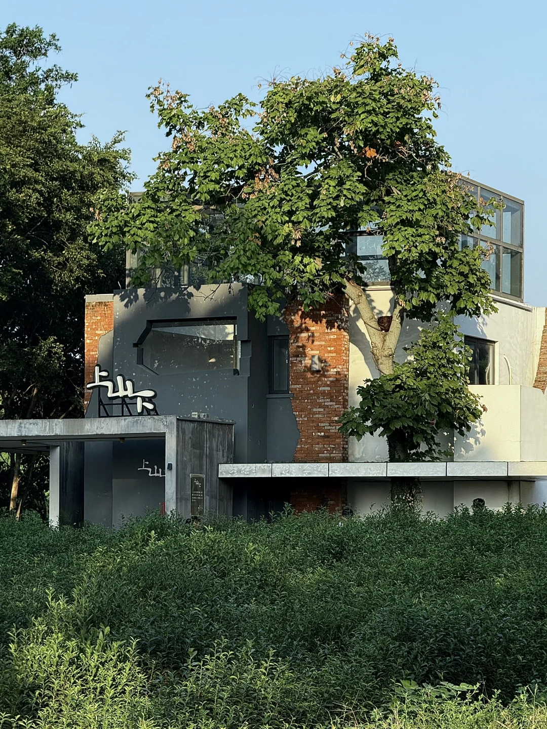 嘉兴丰义|“最美落日”(CityWalk必打卡路线)