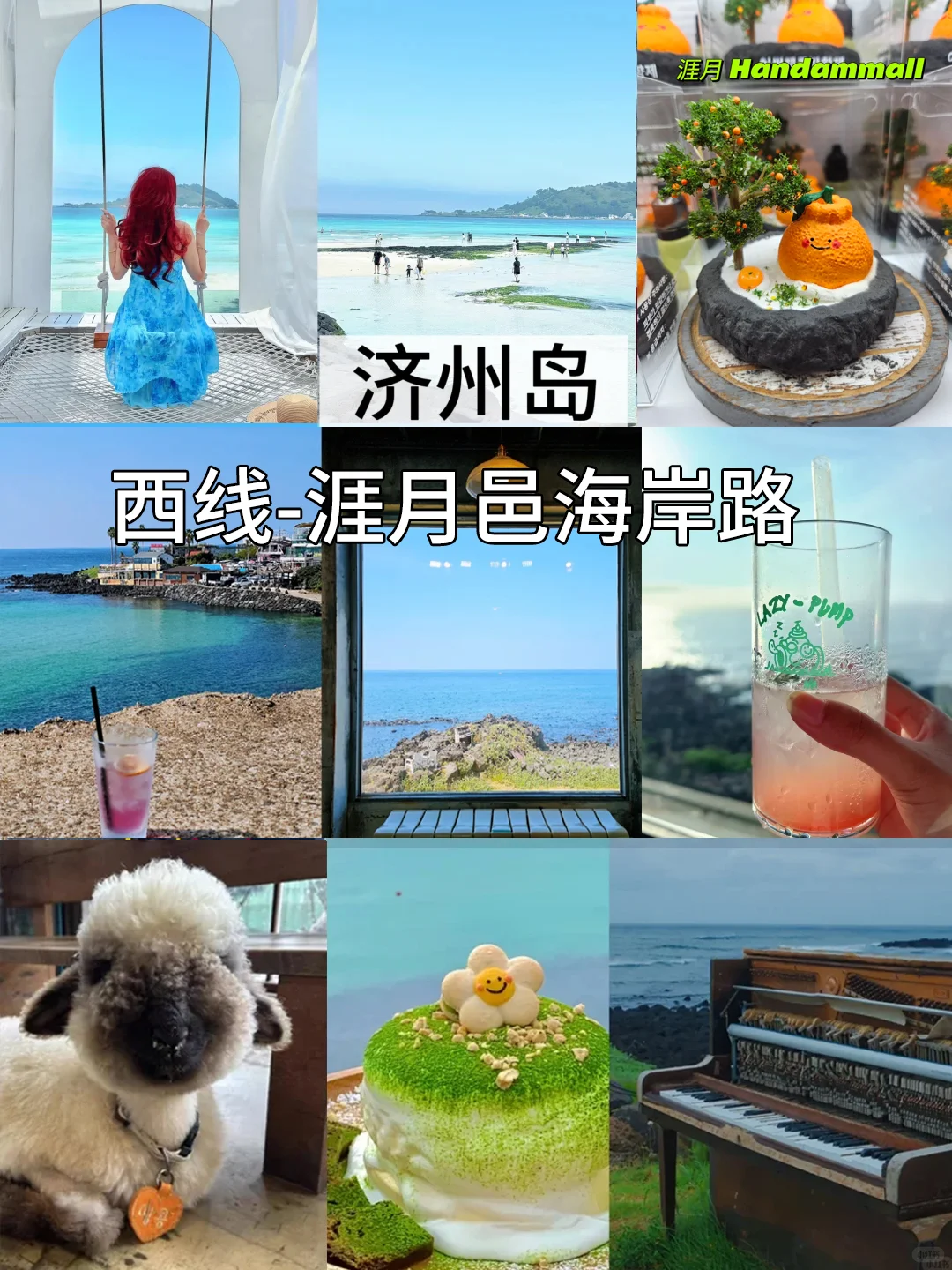 🇰🇷韩国济州岛山茶花暴击🌺好好拍！