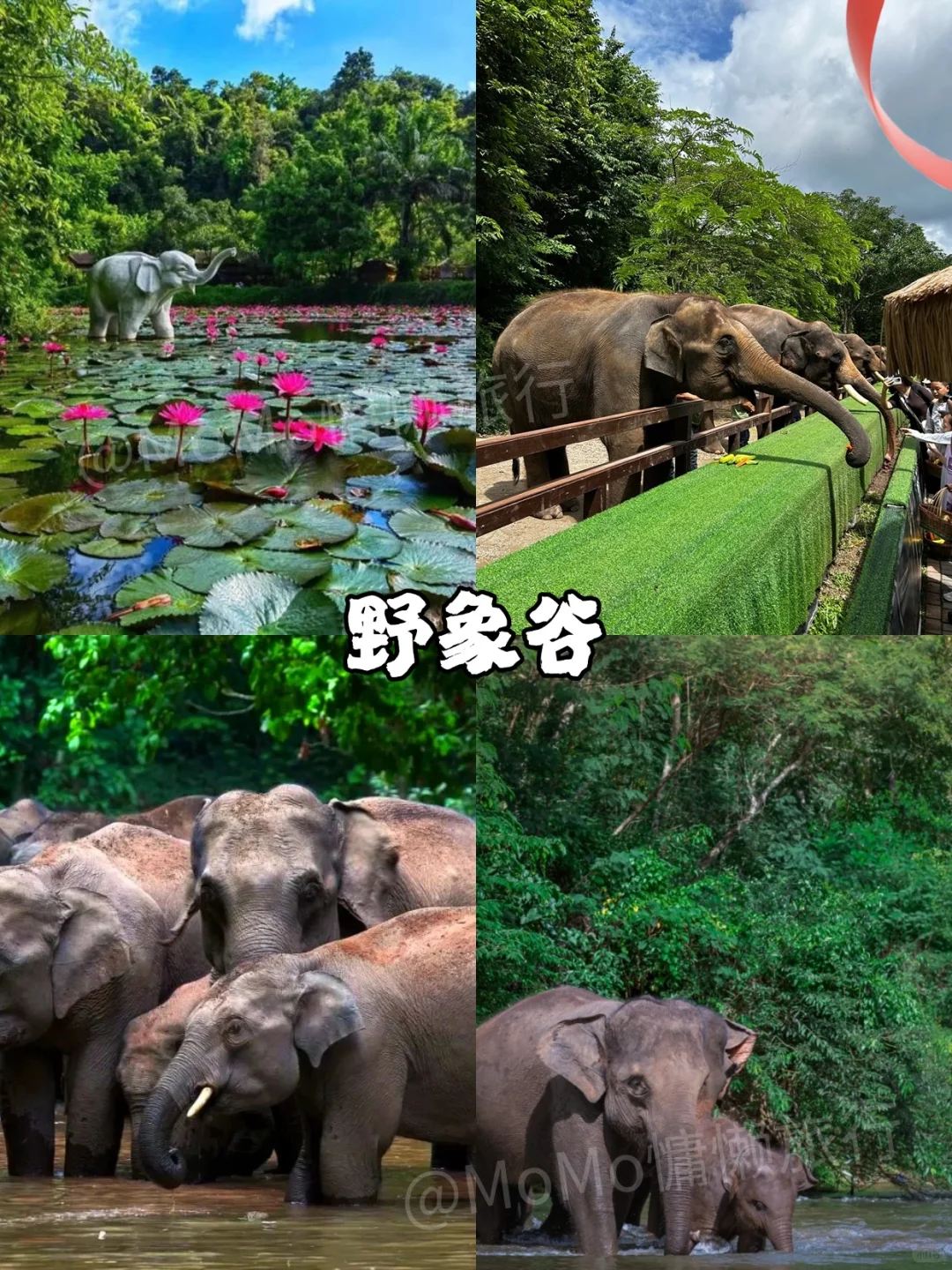 第一次去云南旅游，游玩顺序千万不要搞反了