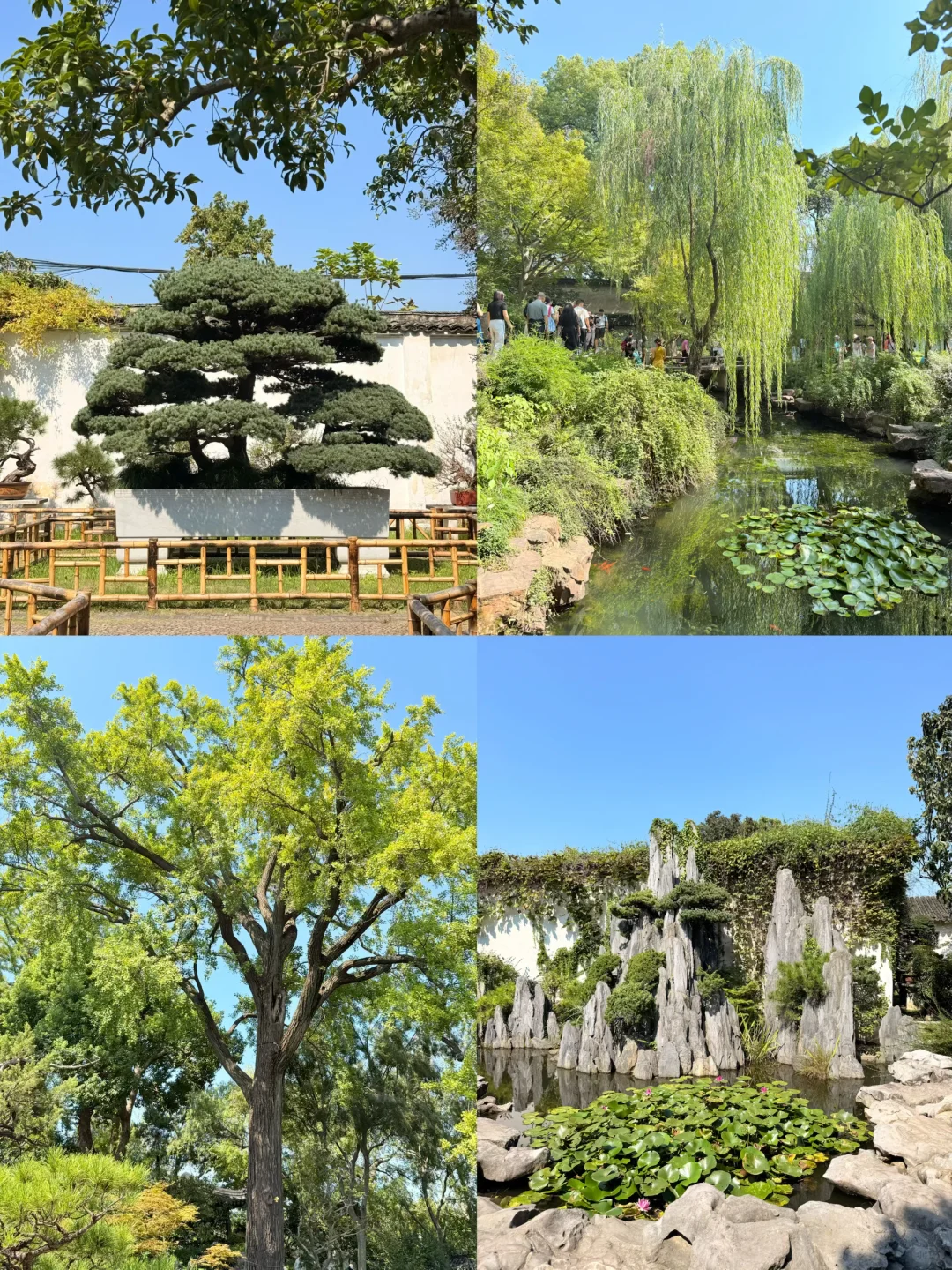 苏州·两天旅游攻略🪭留园 虎丘山 寒山寺…