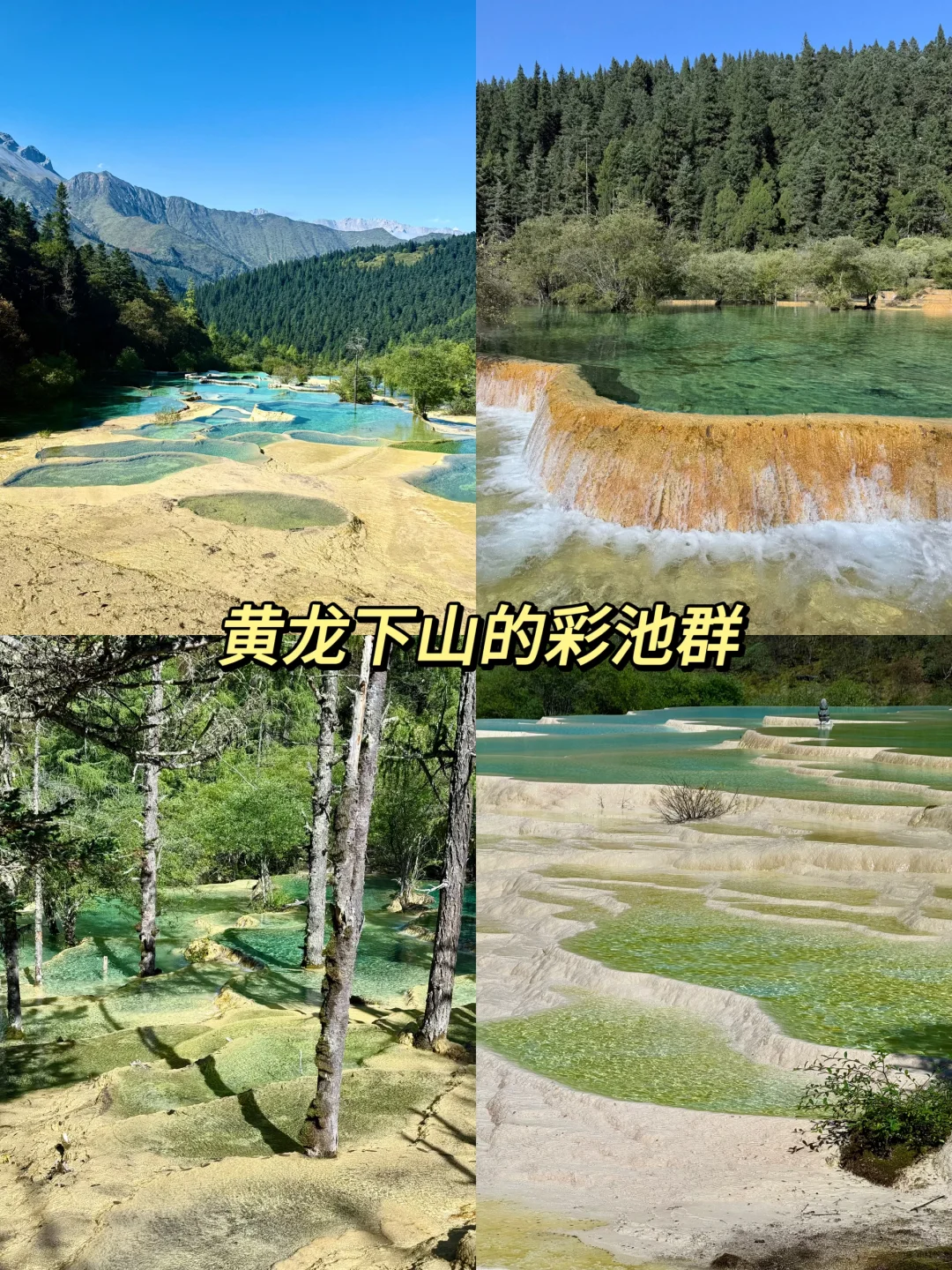 黄龙-九寨沟两日游|人均💰1k可复制版❗️