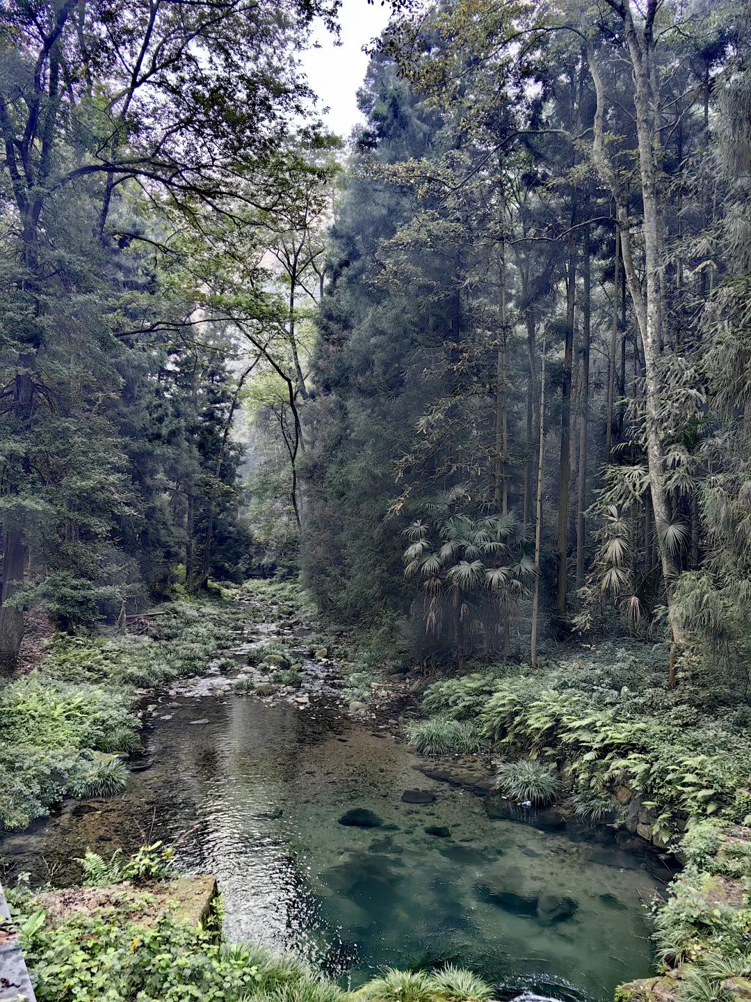 张家界旅游攻略 三天三夜 三索一梯不限次