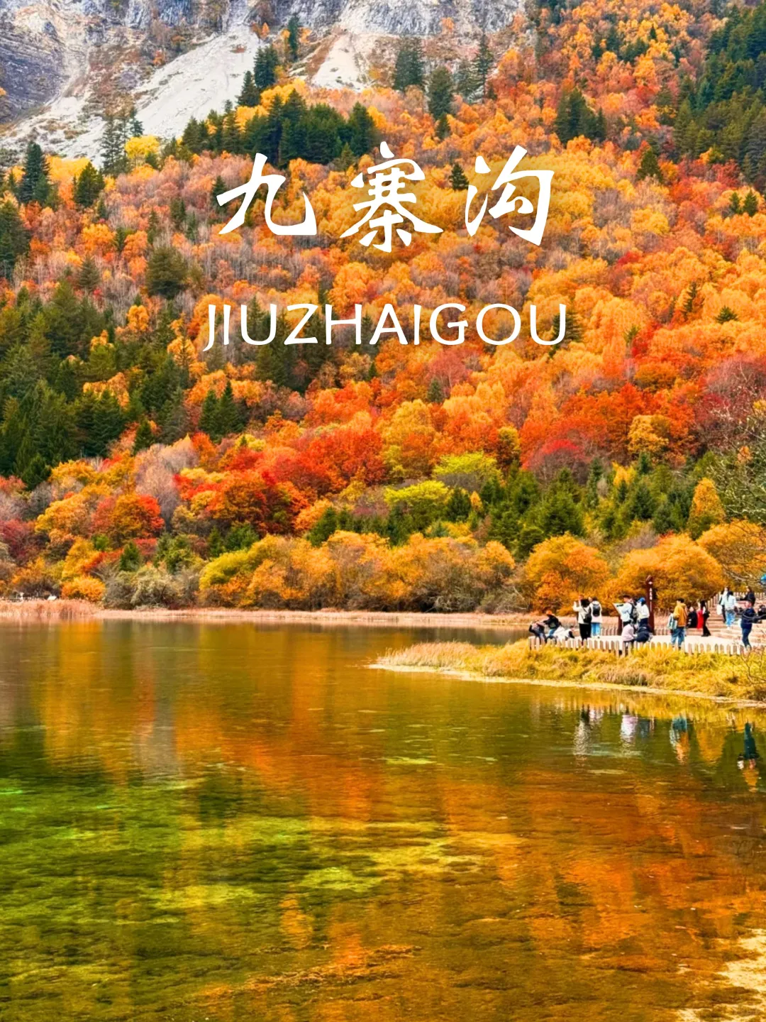 10-11月国内赏秋没有平替❗个个都是天花板