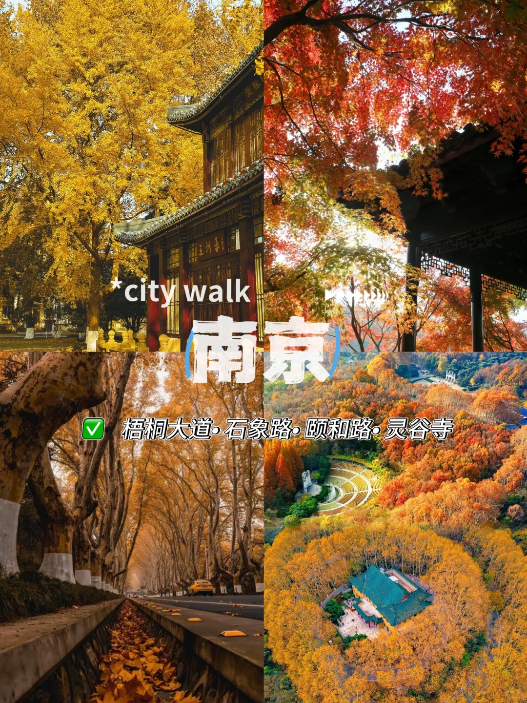 月薪三千也能冲‼️这5个地方的秋天美疯了
