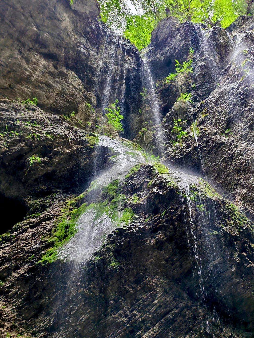 不去官鹅沟，不知西北山水奇！三天畅玩攻略