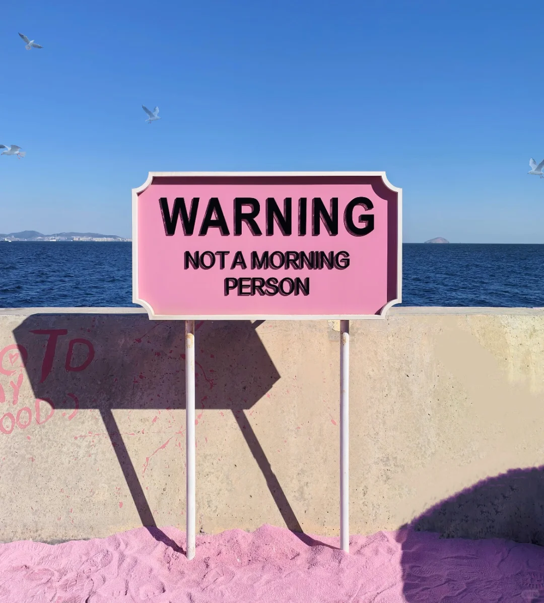 🌊在大连 📷24小时旅游攻略‼️