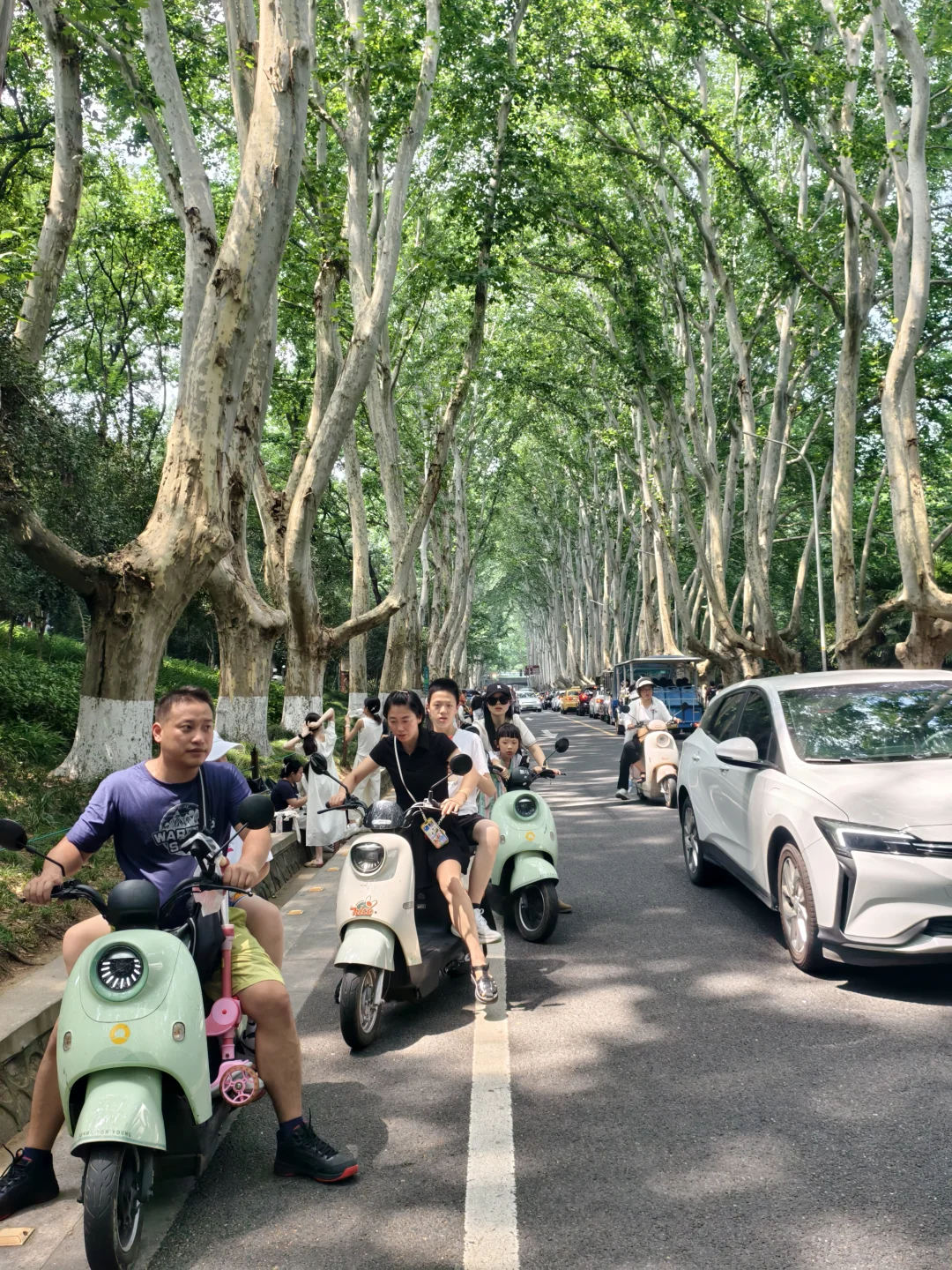 钟山风景区已回，真心建议骑车的听劝！