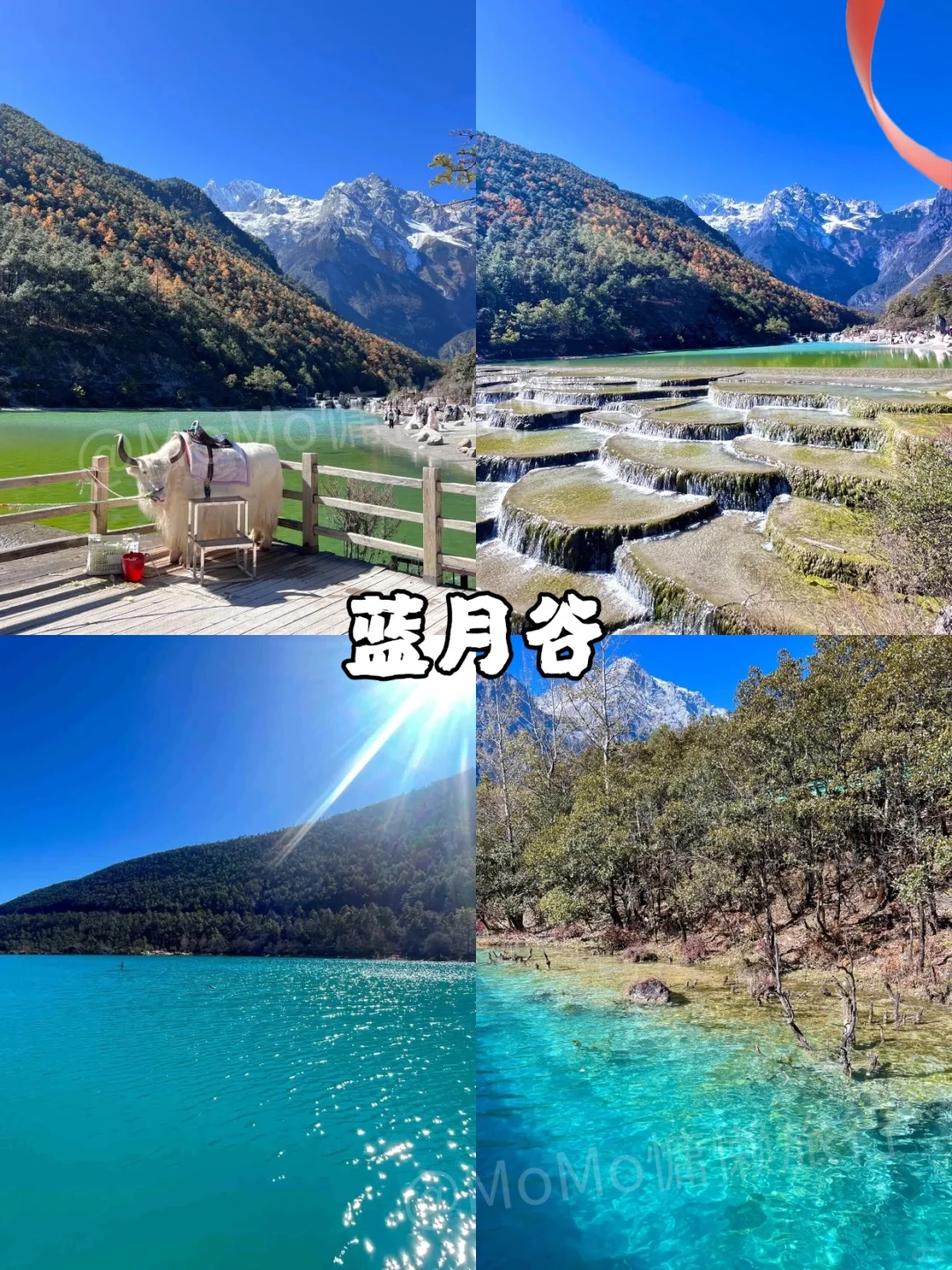 第一次去云南旅游，游玩顺序千万不要搞反了