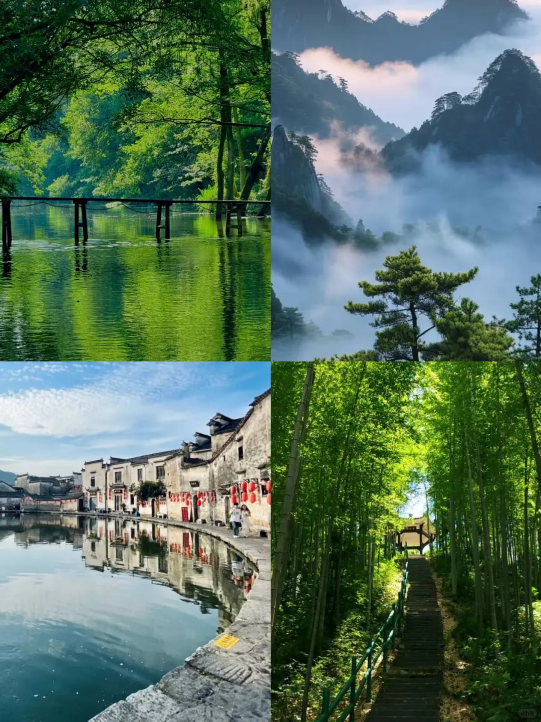 黄山旅游通知！！幸好提前看到了！！