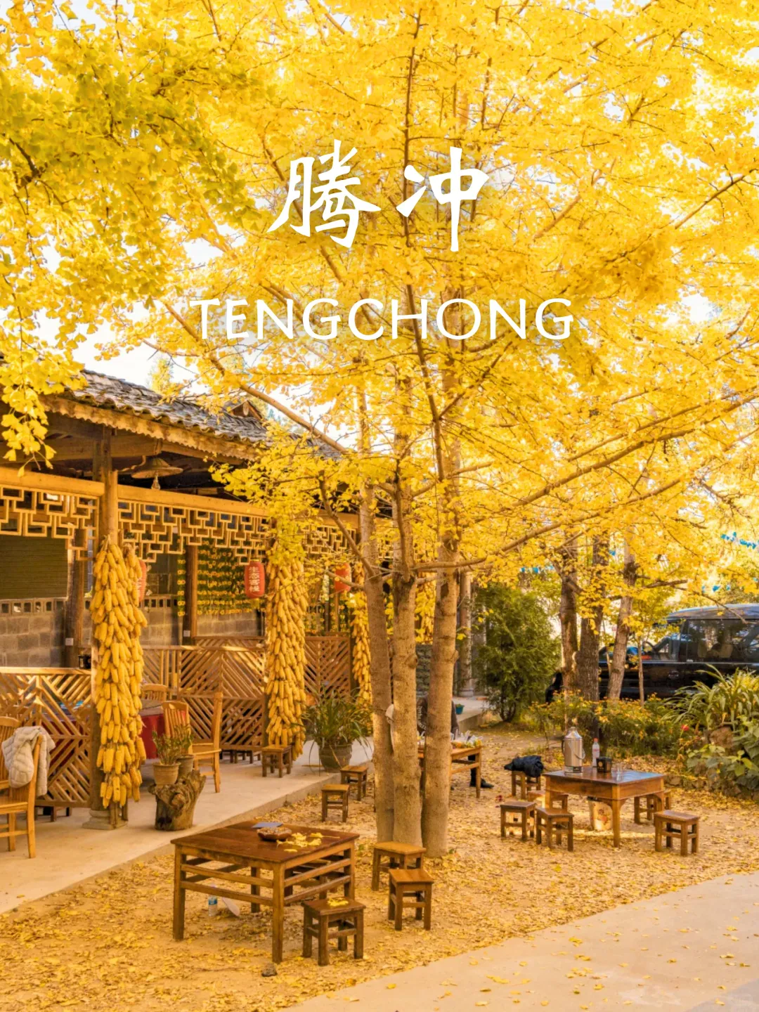 10-11月国内赏秋没有平替❗个个都是天花板