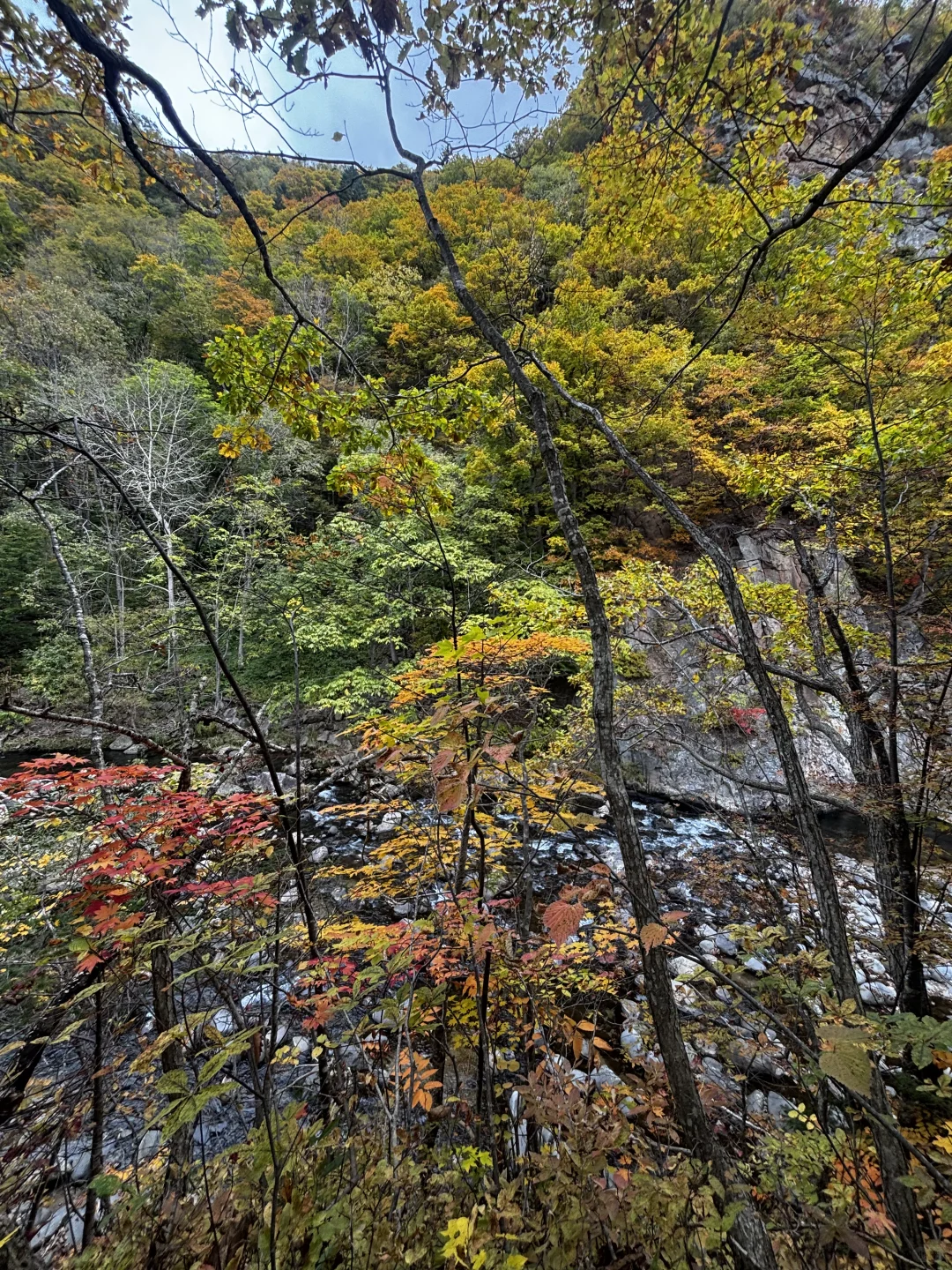 10.16日札幌周边带队赏枫！打卡超小众路线