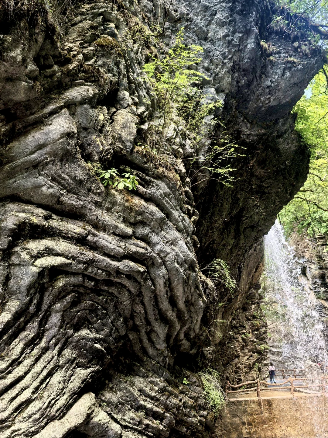 不去官鹅沟，不知西北山水奇！三天畅玩攻略