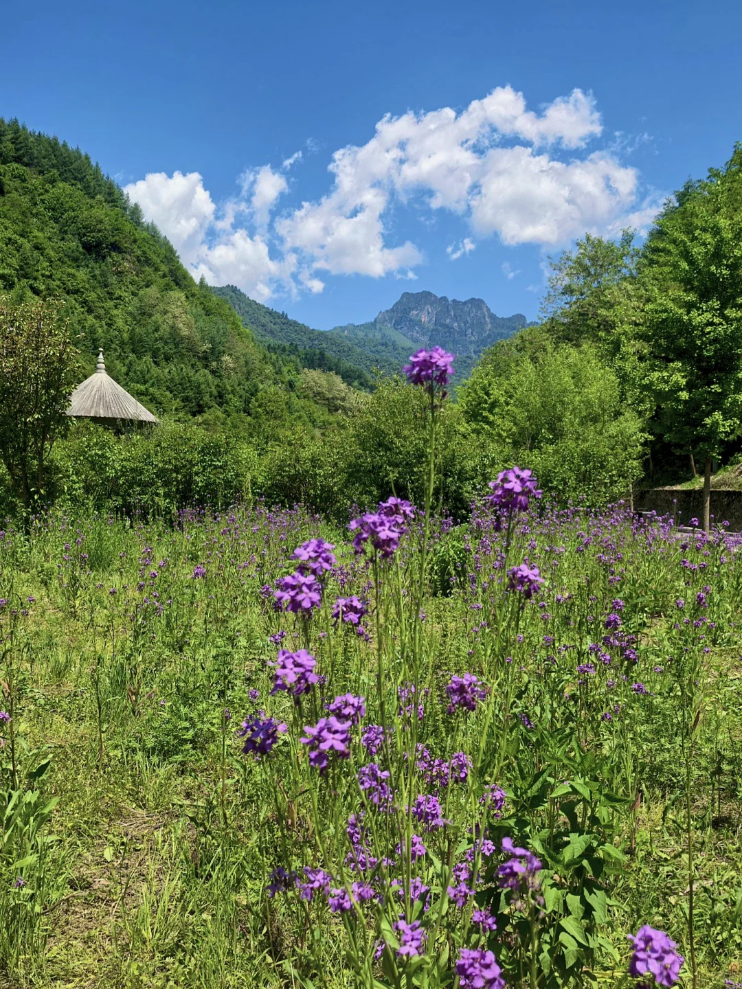 不去官鹅沟，不知西北山水奇！三天畅玩攻略