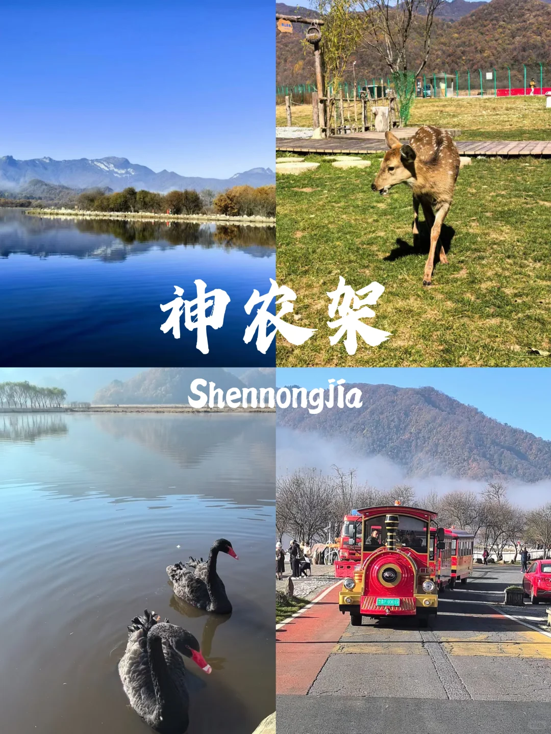 哇噻🤩《国家地理》推荐：15个超美的地方