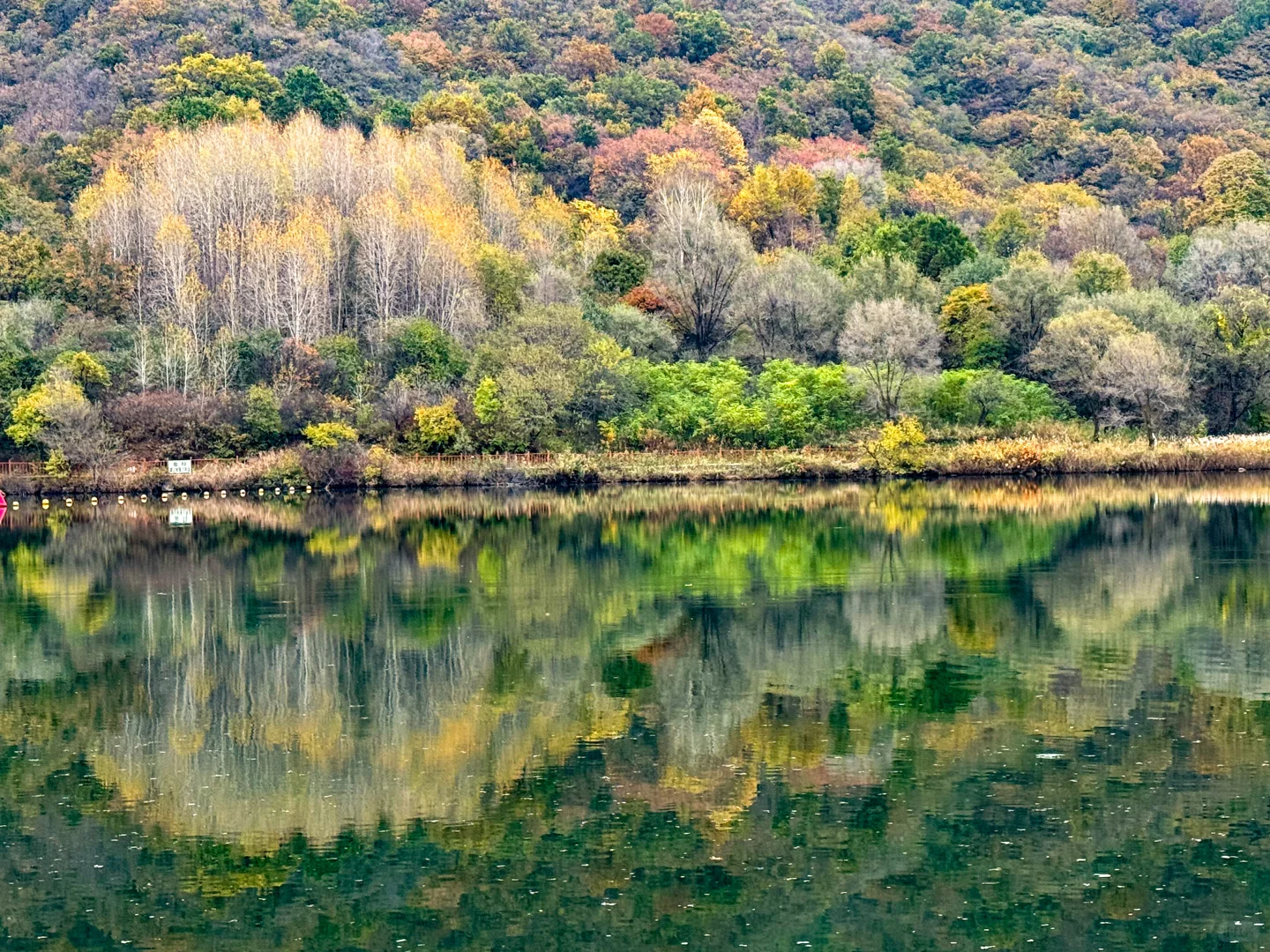 10.12玉渡山 秋意正浓，拍不出的美