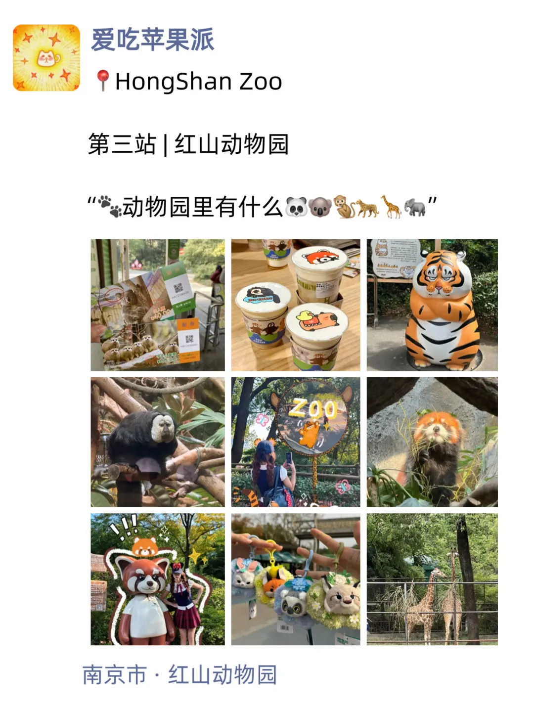 下次来南京旅游还这么发朋友圈